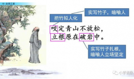 古诗 视频,探寻古诗中的视觉奇观