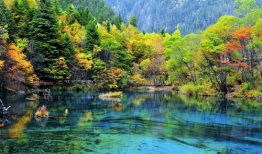 九寨沟视频,自然奇观与人间仙境的完美融合