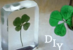 四叶草视频,一场视觉与心灵的盛宴