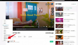 网页中的视频怎么下载,自动生成概述文章副标题