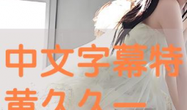 中文字幕久久视频,中文字幕下的视觉盛宴