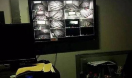 情侣啪啪啪视频,情侣啪啪啪视频幕后揭秘