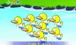 数鸭子视频