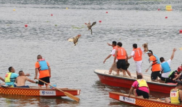 赛龙舟视频,共赴竞渡情