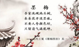 古诗 视频,探寻古诗中的视觉奇观