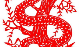 剪纸视频,一剪一世界，传承千年的民间瑰宝