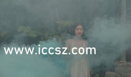 中文字幕久久视频,中文字幕下的视觉盛宴