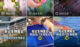 生物视频,生物视频深度解析