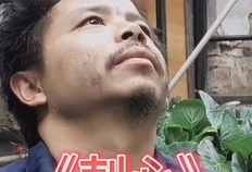 神经哥,神经科学视角下的认知与行为奥秘探索