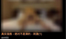 看淫秽视频,揭秘网络淫秽视频的诱惑与危害