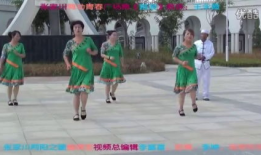 踏浪广场舞视频,舞动青春，活力四溢的健身风采