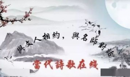 古诗 视频,探寻古诗中的视觉奇观