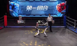 机器人格斗大赛视频,钢铁战士的巅峰对决