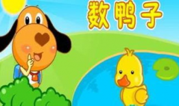 数鸭子视频